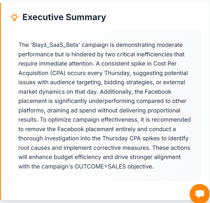 Clean Blayz executive summary